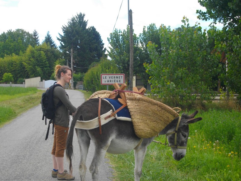 Balade d'ânes Ariège