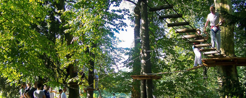accrobranche arbre