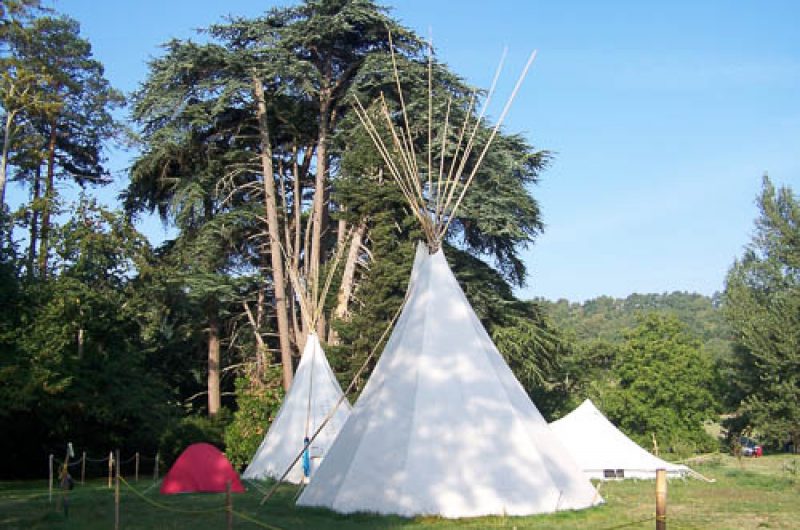 Tipi